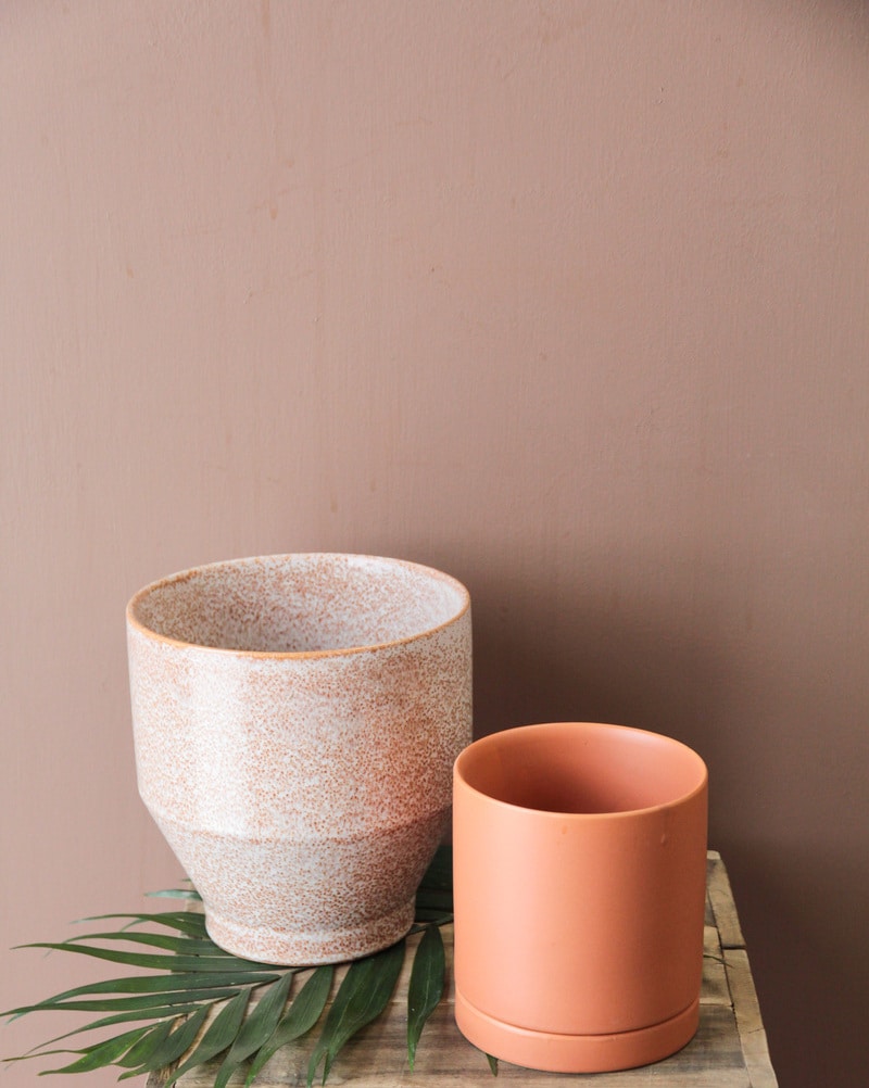 Ceramic Container for Plants